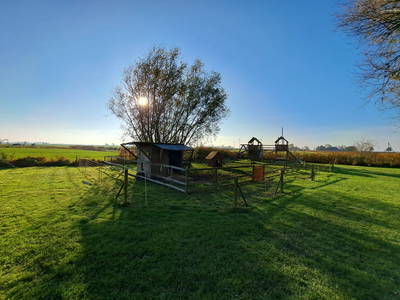 Bild 7 aus  Unser kleiner Bauernhof - Ferienhof Uhlmann