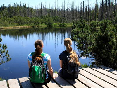 Bild 48 aus  Grashöfle