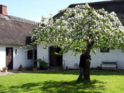 Bild 25 aus  Springbakgaard