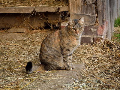 Bild 6 aus  Exenbacher Hof