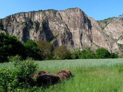 Bild 21 aus  Weingut Butzbach