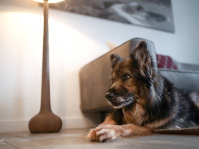 Bild 6 aus  Ferienwohnungen Wunschzeit  Bayern