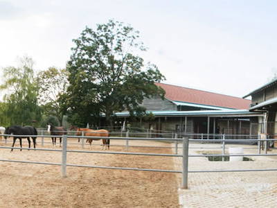 Bild 10 aus  Fenwick Farm