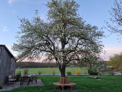 Bild 20 aus  Bauernhof Härtel