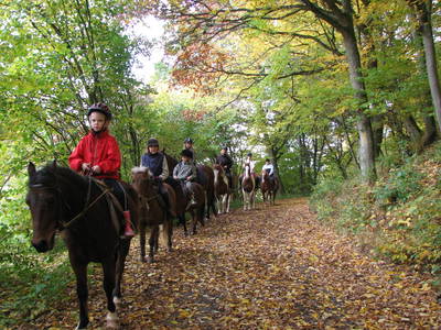 Bild 4 aus  kinderfreundlicher Familienbauerhof