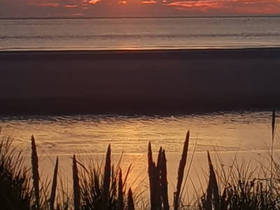 Bild 33 aus  Ferienhof Hasseler