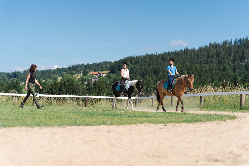 "Forellen - Reiterhof" 5 Sterne Hof direkt am See