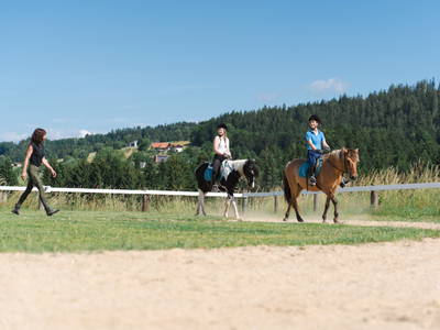 Bild 2 aus  "Forellen - Reiterhof" 5 Sterne Hof direkt am See