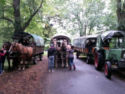 Bild 10 aus  Pension Buschkotten - Fam. Nettelnstroth