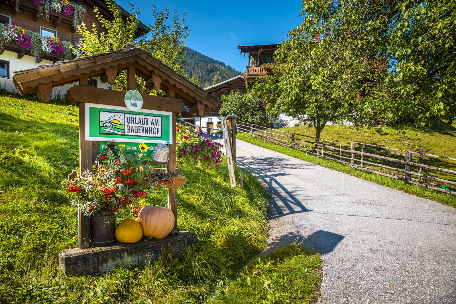 Vordersattlegghof