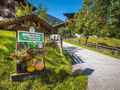 Bild 4 aus  Vordersattlegghof