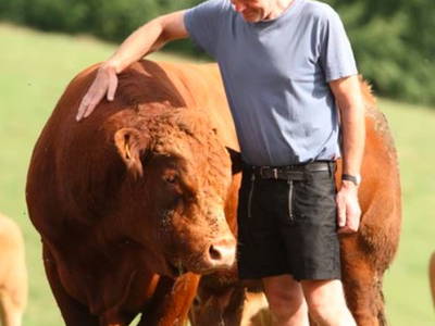 Bild 12 aus  Gripshof