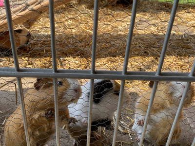 Bild 33 aus  LandSelection Rüsterhof