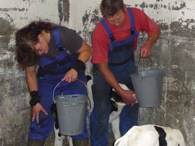 Bild 8 aus  Houdam Farm