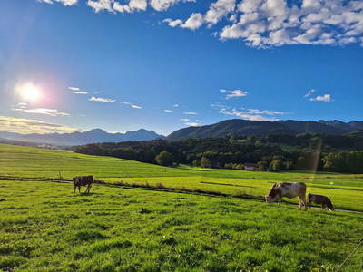 Bild 4 aus  Schusterhof