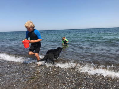 Bild 27 aus  Luftsnapper & Fellnasen