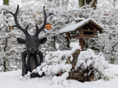 Bild 3 aus  "Ekenhoff"