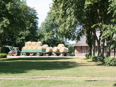 Bild 27 aus  Gut Friederikenhof