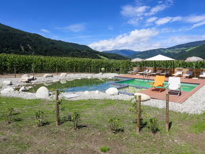 Bild 9 aus  Lerchnhof