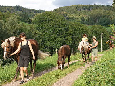 Bild 12 aus  Danielenhof