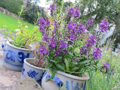 Bild 4 aus  Bauernhofurlaub auf Larbigs Art