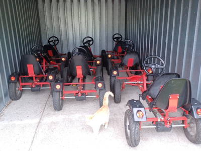 Bild 10 aus  Ferienhof Nordorfer Grashaus