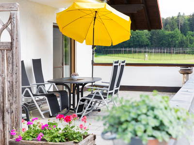 Bild 26 aus  Ferienhof Egger