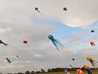 Bild 17 aus  Hof Vorwerk Familie Böye