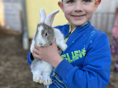 Bild 15 aus  Landkulturhof Glücksbringer
