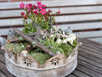 Bild 19 aus  Ferien- und Bauernhof Weiland