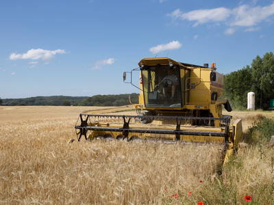 Bild 52 aus  Hof Schlossblick  " der etwas andere Bauernhof "