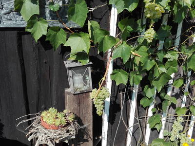 Bild 29 aus  Hof Keppel, der stromlose Urlaub