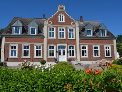 Bild 10 aus  Luftsnapper & Fellnasen