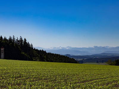 Bild 44 aus  Allgäu Bergferienhof