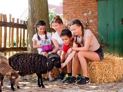 Bild 30 aus  Sonis kleine Farm Grömitz