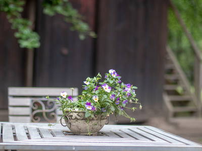 Bild 20 aus  Hof Flottwedel