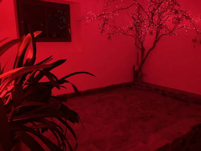 Bild 44 aus  Burgbauernhof am Katzenstein - Ursprünglichkeit des Landlebens gepaart mit Gesundheit und Luxus