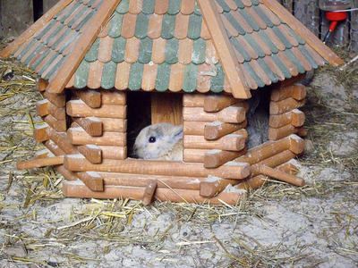 Bild 12 aus  Gut Grasbeck