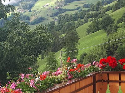 Bild 5 aus  Schweinsteghof