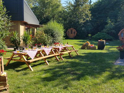 Bild 4 aus  Weingut & Winzerhof  Thomas Spengler