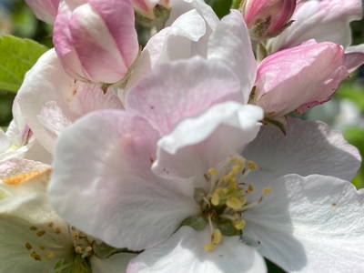 Bild 11 aus  Neulandhof-Spöring