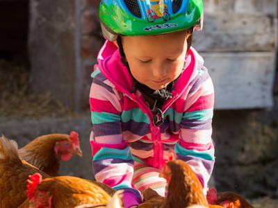 Bild 18 aus  Reiter- und Ferienhof Cohrs