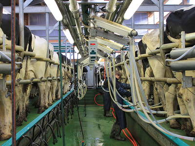 Bild 7 aus  Ferienhof Gertz