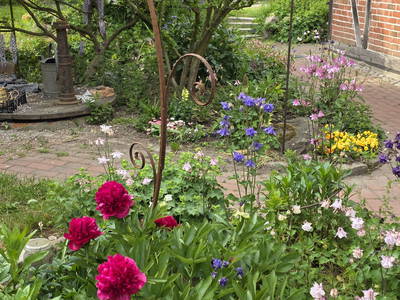 Bild 35 aus  Urlaub unterm Reet