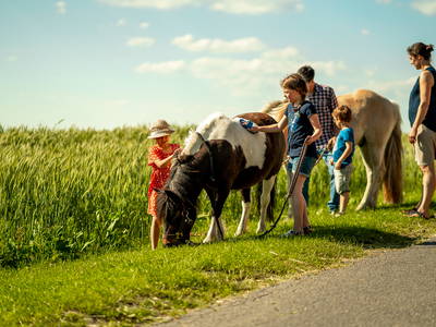 Bild 22 aus  LandSelection Grieshof