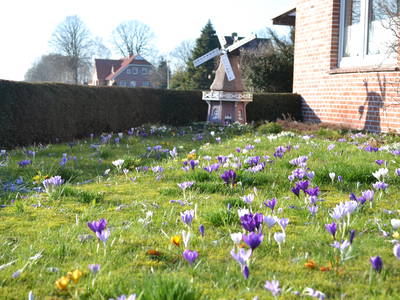 Bild 14 aus  Ferienhof Röhling