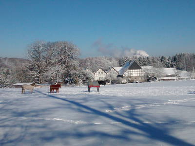 Bild 12 aus  Ferienhof Sönnecken