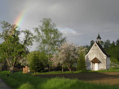 Bild 19 aus  Hubertushof Steidle