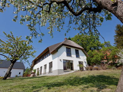 Bild 25 aus  Biberburg und Schwalbennest