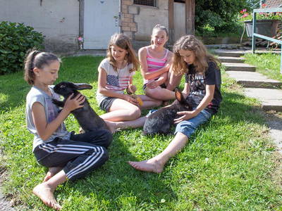 Bild 10 aus  Danielenhof